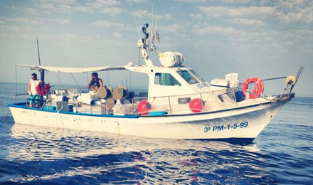 angeltourenmallorca.de Bootstouren auf Mallorca mit Virot