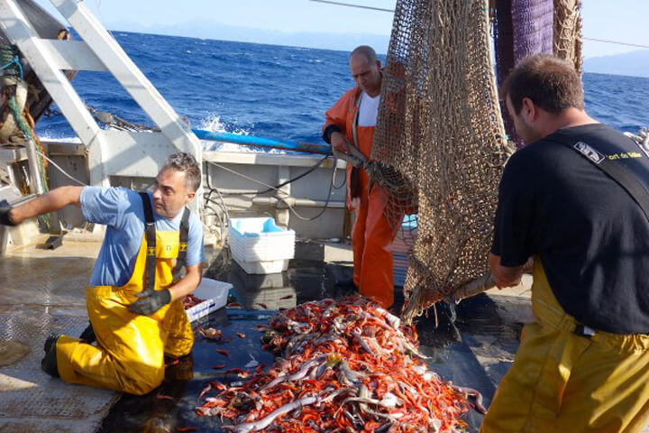 angeltourenmallorca.de Bootstouren auf Mallorca mit Bruno